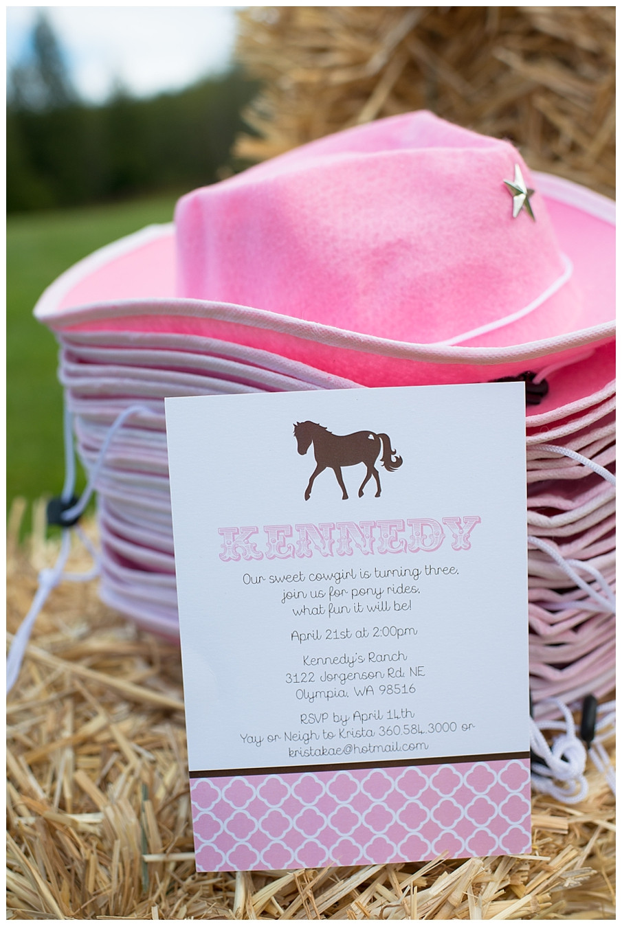 Pony Rides Birthday Party
 A Pink and Brown Pony Party Hoopla Events
