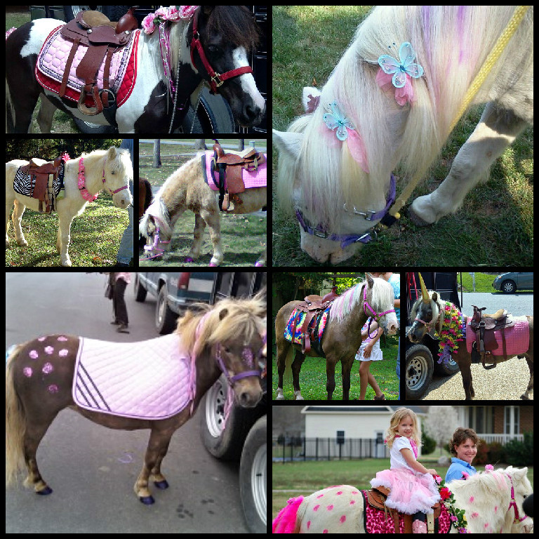Pony Rides Birthday Party
 Pony Rides for Pony Birthday Parties in Virginia