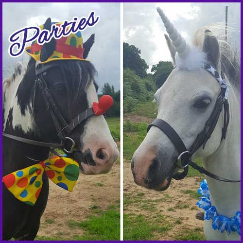 Pony Rides Birthday Party
 Suffolk Pony Parties & Events