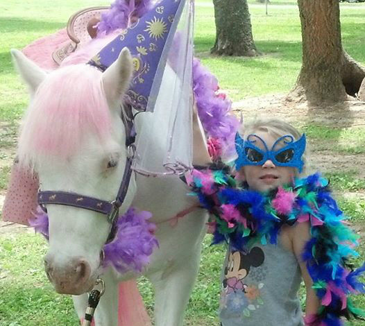 Pony Rides Birthday Party
 Birthday Parties