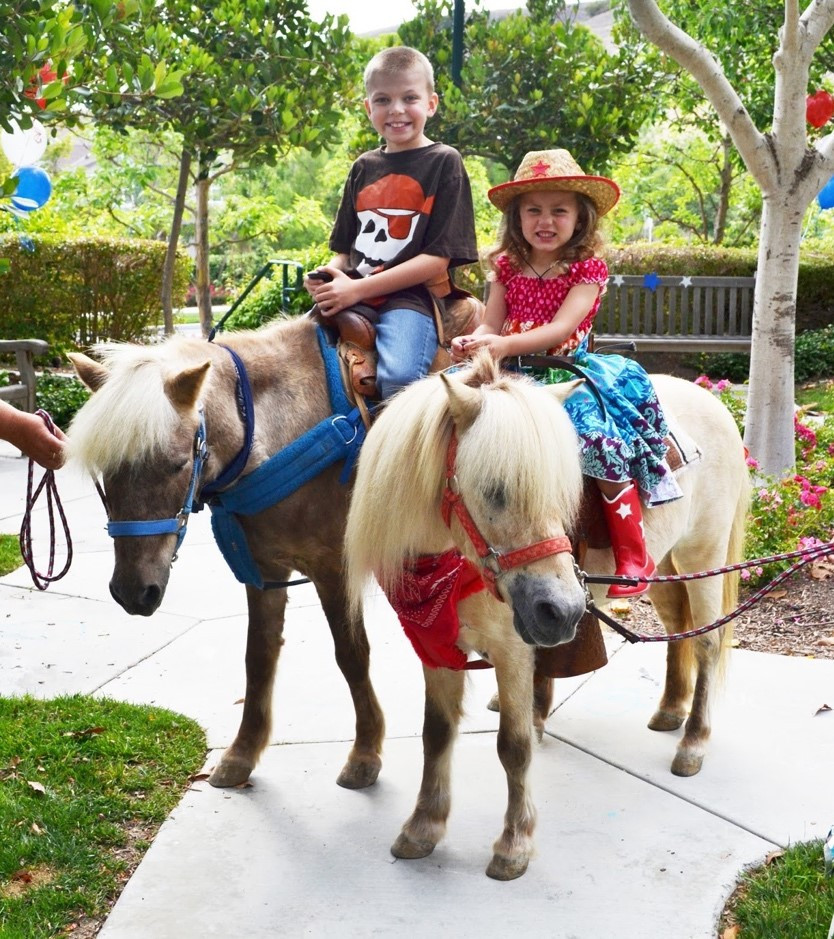 Pony Rides Birthday Party
 Pony Rides Pony Rentals Miami