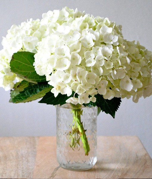 Popular Flowers For Weddings
 Top 5 Most Popular Wedding Flowers – Bloomerent