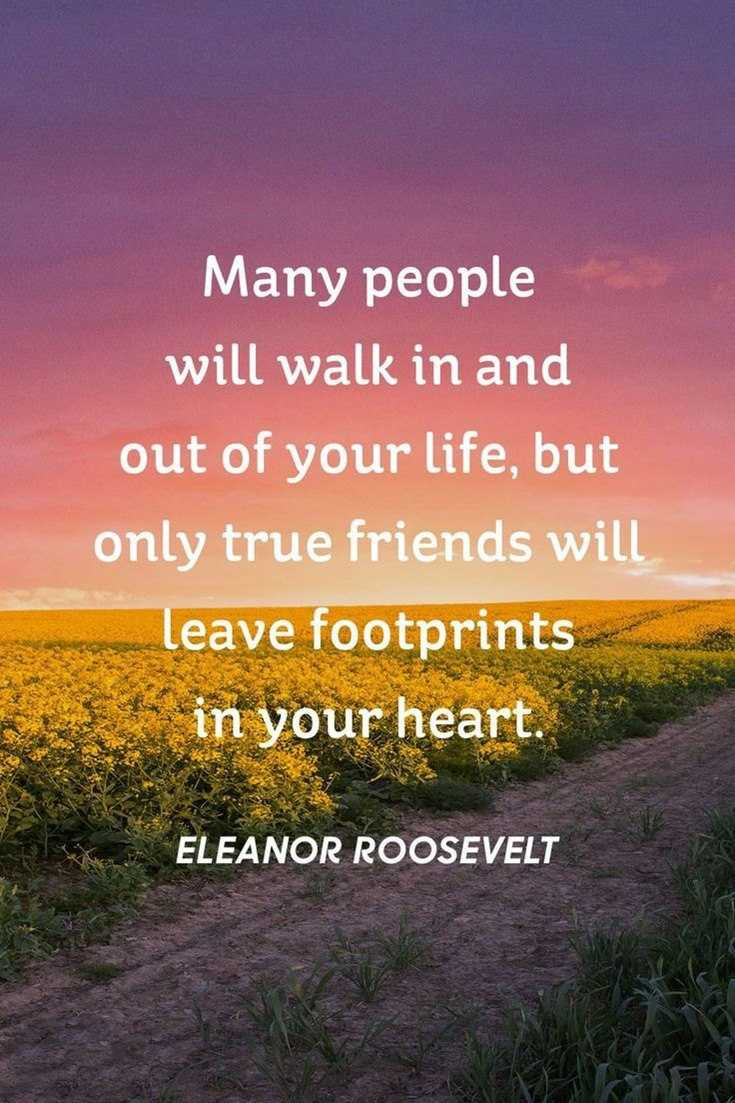 Positive Quotes For Friends
 Top 57 Best Friendship Quotes to Enriched Your Life tiny