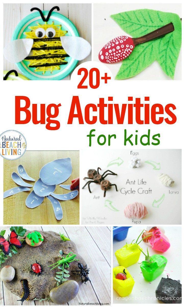 Preschool Crafts Activities
 25 Bug Activities for Preschool Natural Beach Living