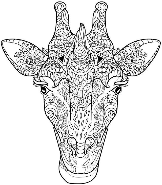 Printable Animal Coloring Pages For Adults
 Adult Coloring Pages Animals Best Coloring Pages For Kids