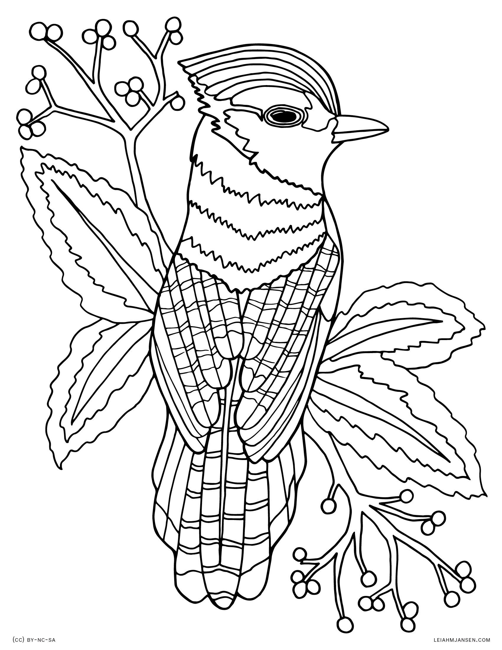Printable Animal Coloring Pages For Adults
 Coloring Pages