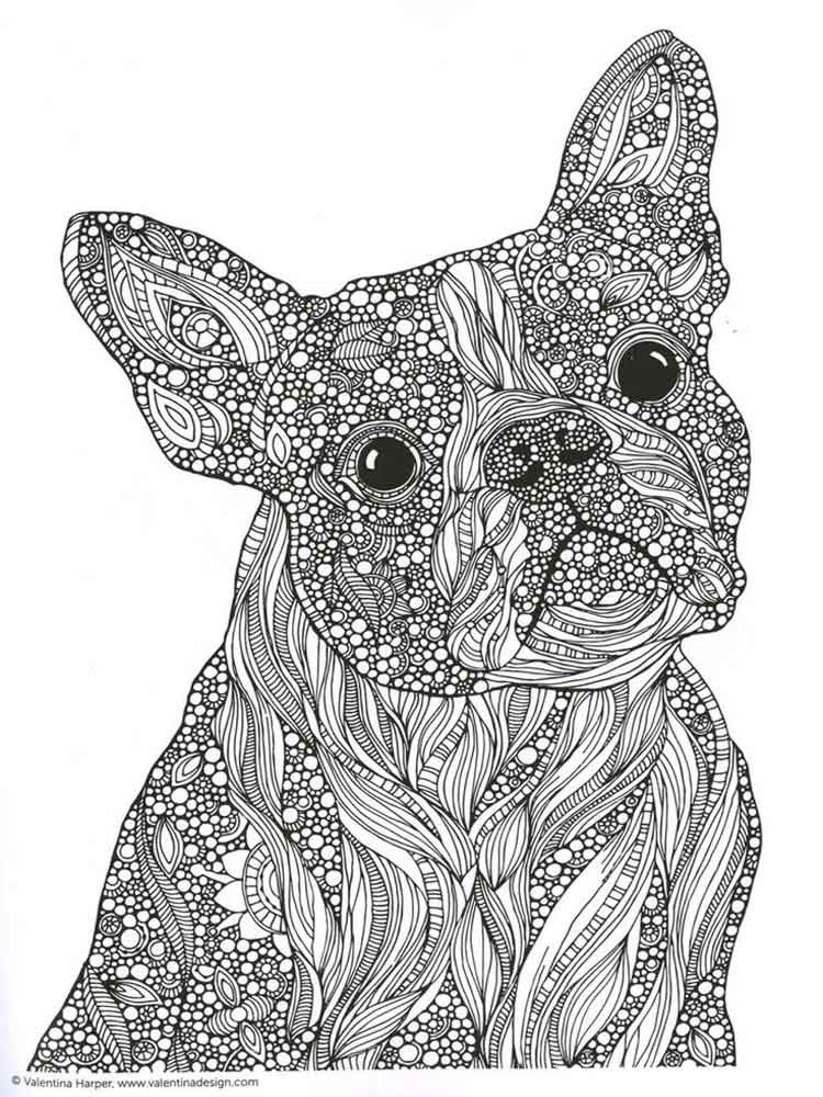 Printable Animal Coloring Pages For Adults
 Animals coloring pages for Adults Free Printable Animals