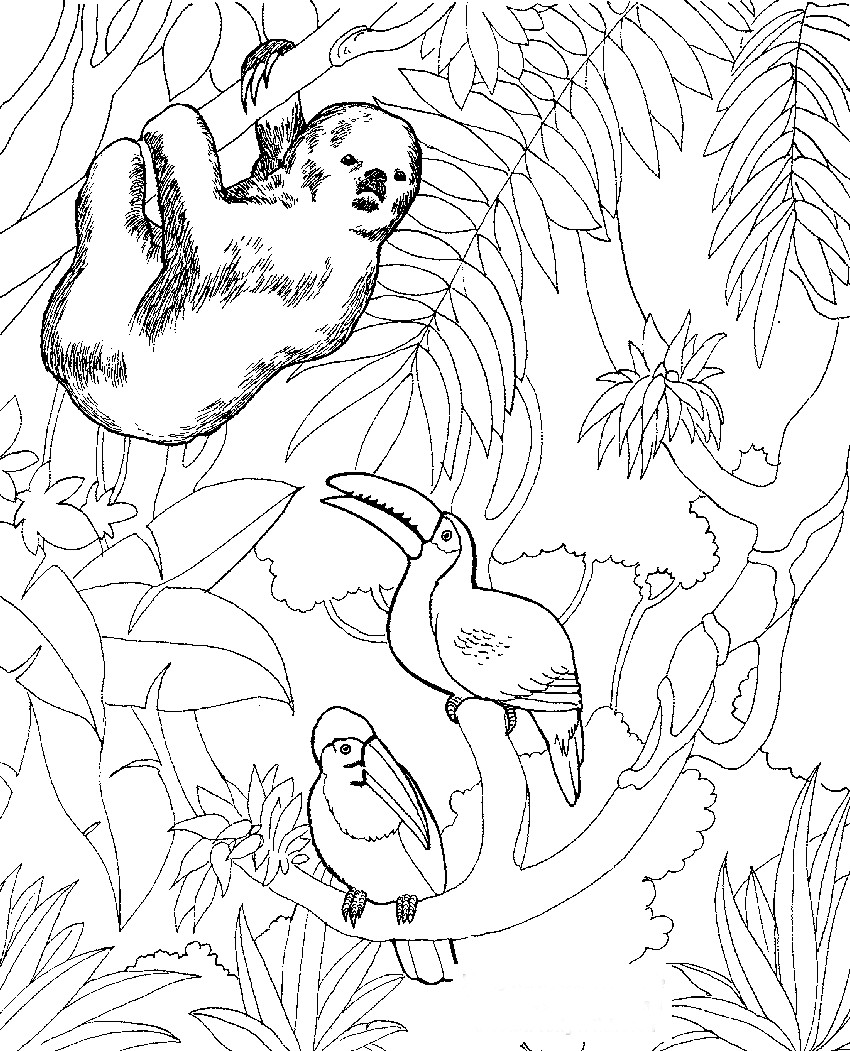 Printable Animal Coloring Pages For Kids
 Free Printable Zoo Coloring Pages For Kids