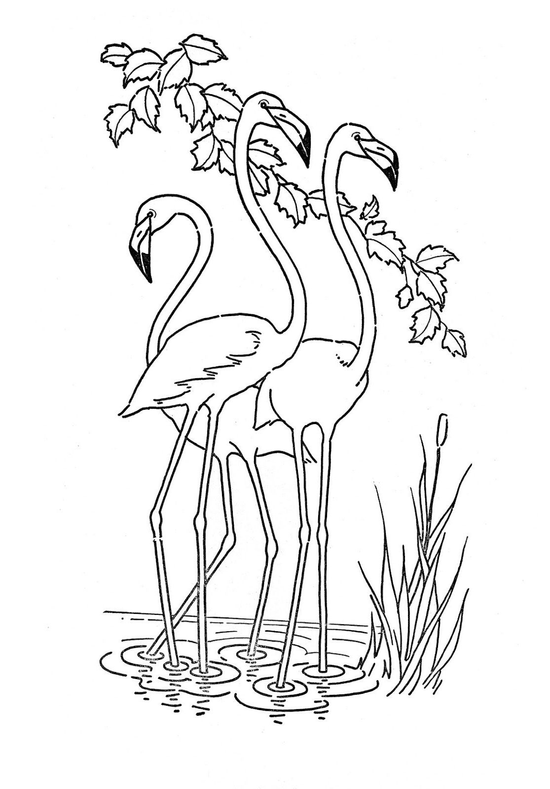 Printable Coloring Pages For Kids Animals
 Animal Coloring Pages