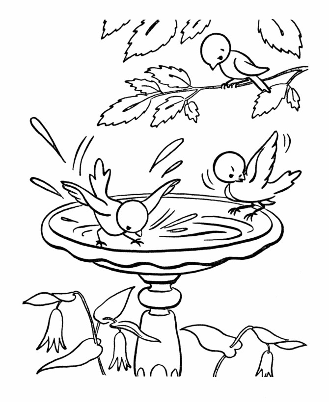 Printable Spring Coloring Pages
 Coloring Pages Spring Springtime Coloring Pages Free and