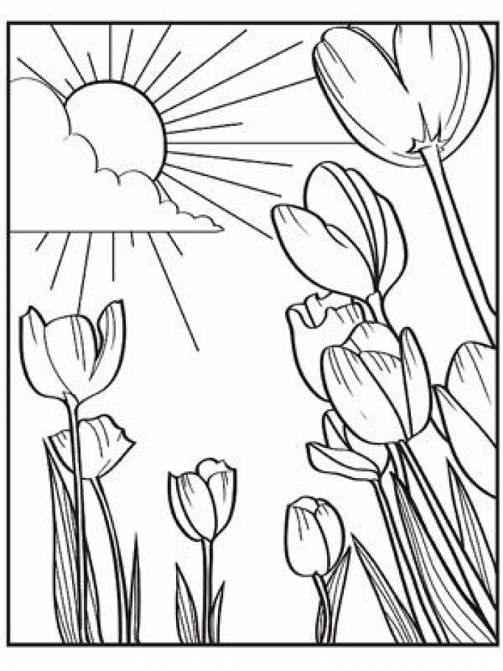 Printable Spring Coloring Pages
 Get This Spring Coloring Pages Free to Print j6hdb
