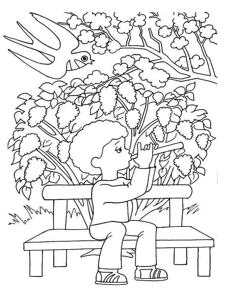 Printable Spring Coloring Pages
 Spring coloring pages Download and print spring coloring