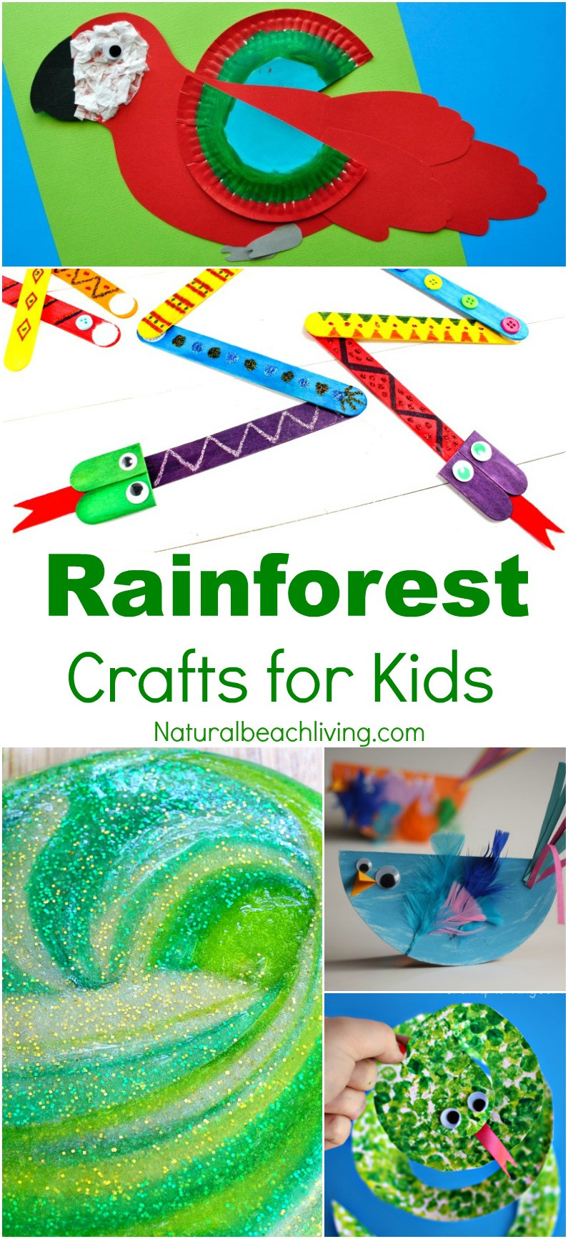 Project For Preschoolers
 10 Amazing Rainforest Crafts Kids Can Make Natural