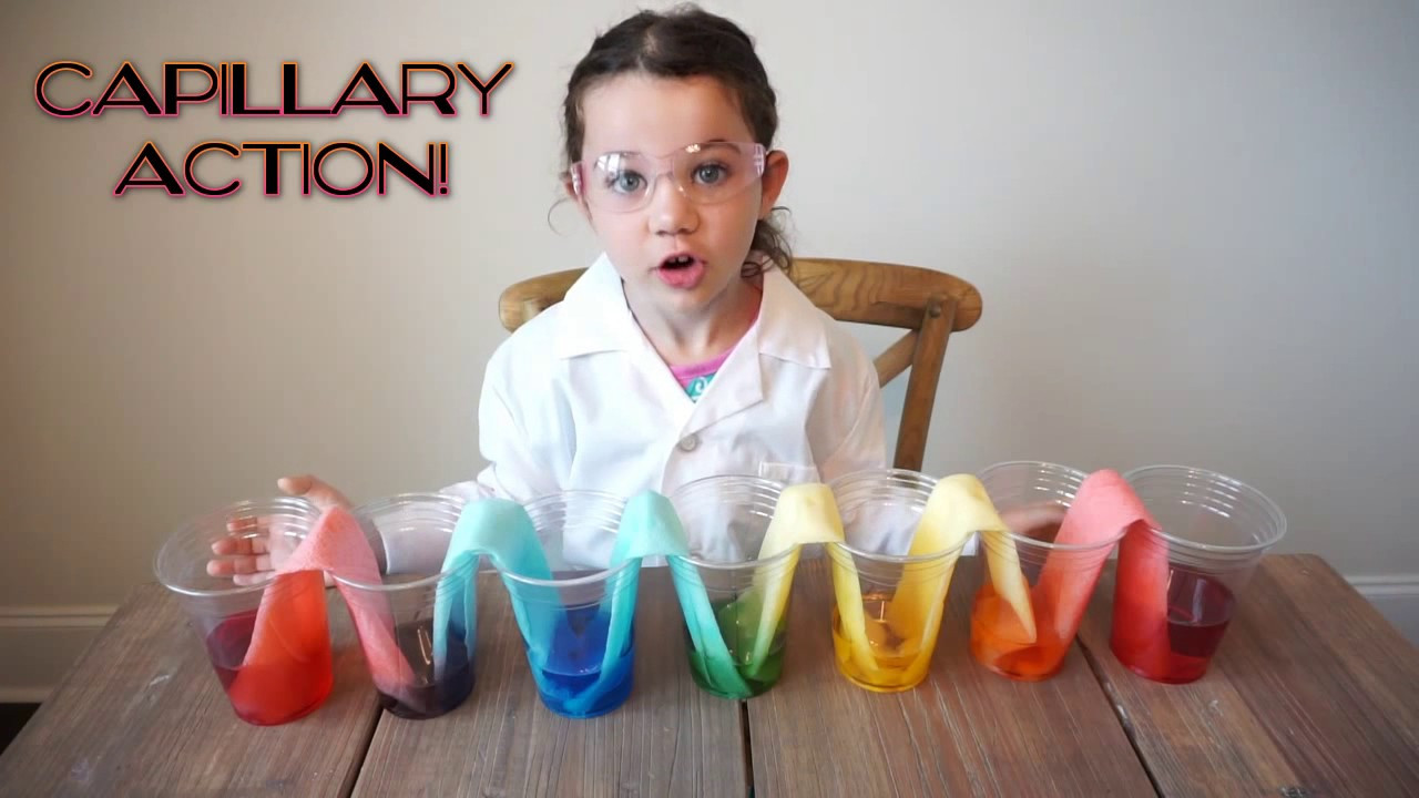 Projects For Kids At Home
 Amazing Science Experiments for Kids