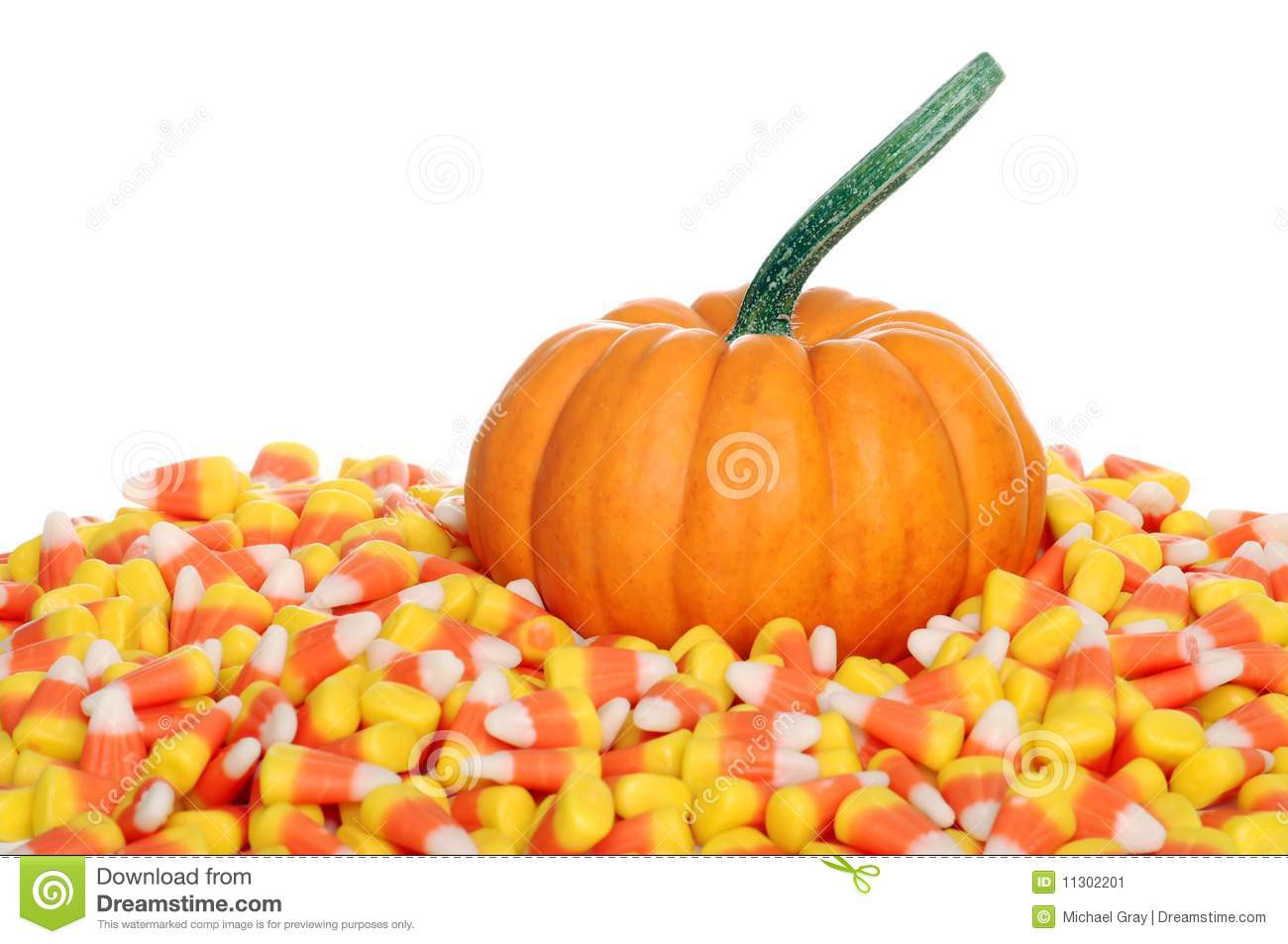 Pumpkin Candy Corn
 Pumpkin With Candy Corn Stock Image Image