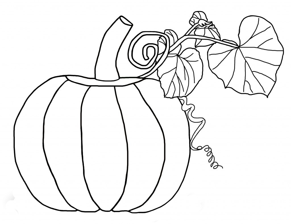 Pumpkin Coloring Pages For Kids
 Free Printable Pumpkin Coloring Pages For Kids