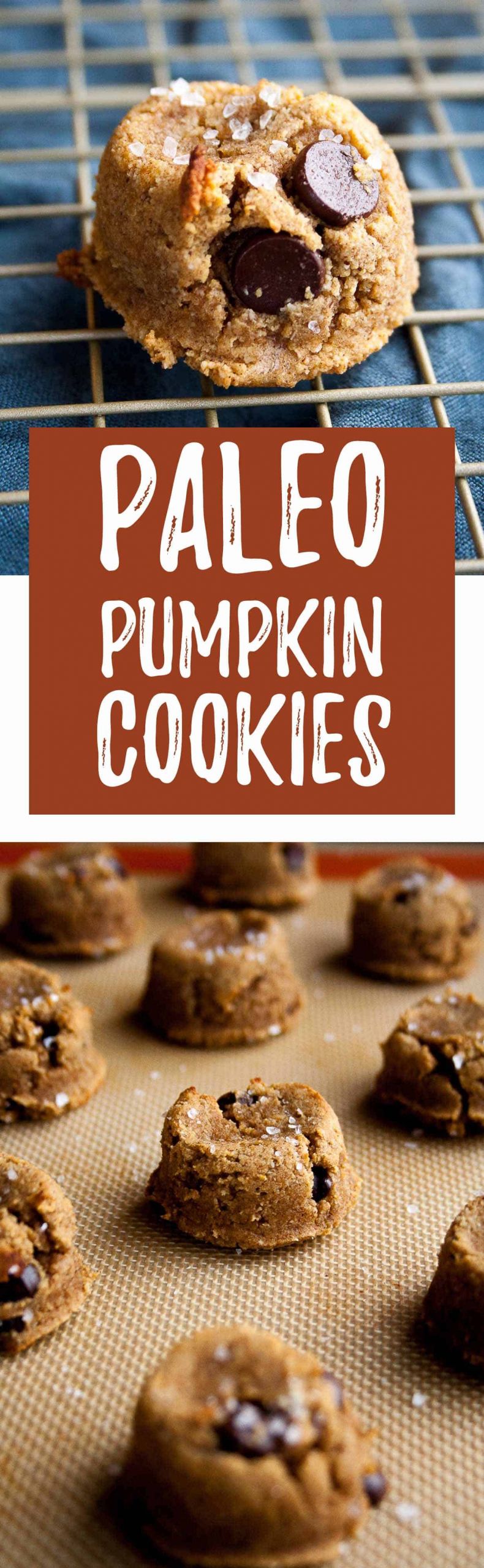 Pumpkin Cookies Paleo
 Paleo Pumpkin Cookies with Dark Chocolate Chips Hungry