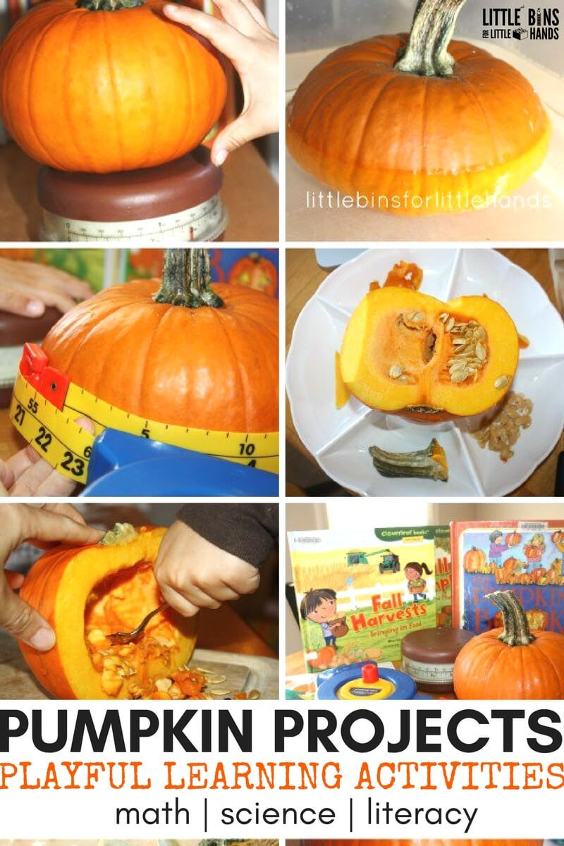 Pumpkin Craft Ideas Preschoolers
 Pumpkin Activities and Learning Ideas for Fall