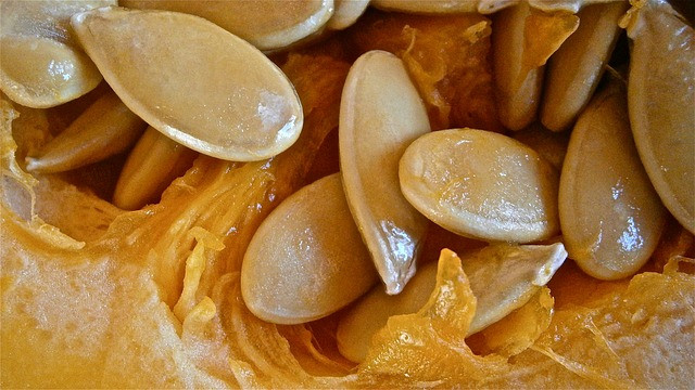 Pumpkin Seeds Weight Loss
 Best Health Benefits of Pumpkin Seeds You Will Read This