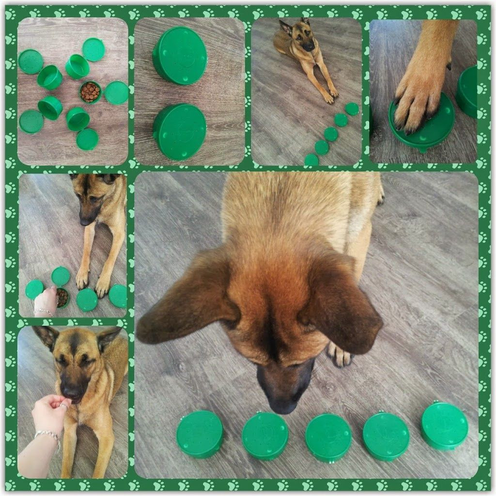 Puzzles For Dogs DIY
 So many awesome DIY Dog Puzzles