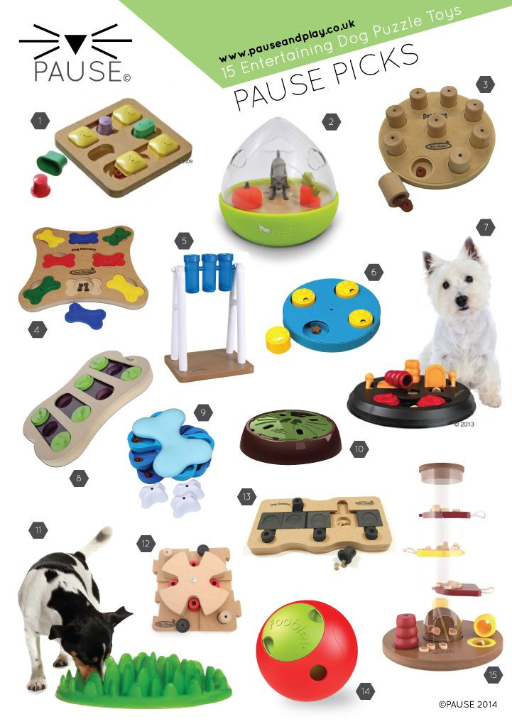 Puzzles For Dogs DIY
 The 25 best Dog puzzles ideas on Pinterest