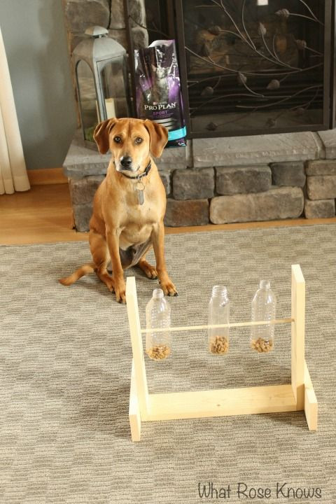 Puzzles For Dogs DIY
 Best 25 Dog treat dispenser ideas on Pinterest