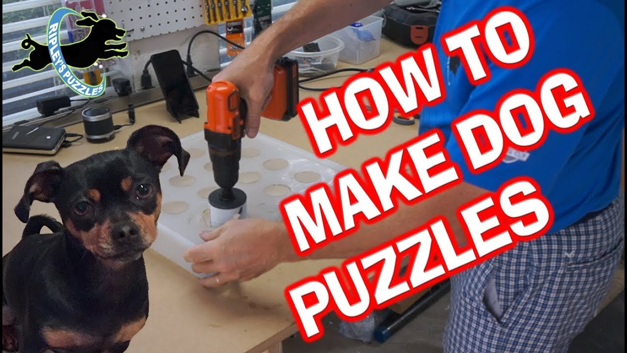 Puzzles For Dogs DIY
 How To Make Dog Puzzles Build Your Own DIY Homemade