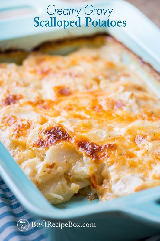 Quick And Easy Scalloped Potatoes Recipe
 Creamy Gravy Scalloped Potatoes Recipe