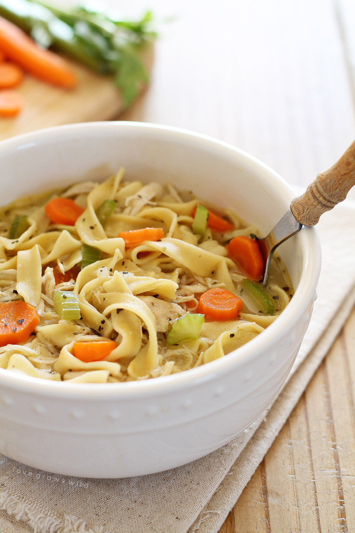 Quick Homemade Chicken Noodle Soup
 Quick and Easy Chicken Noodle Soup Love Grows Wild