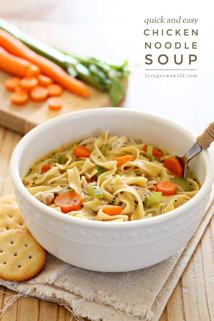 Quick Homemade Chicken Noodle Soup
 Quick and Easy Chicken Noodle Soup Love Grows Wild