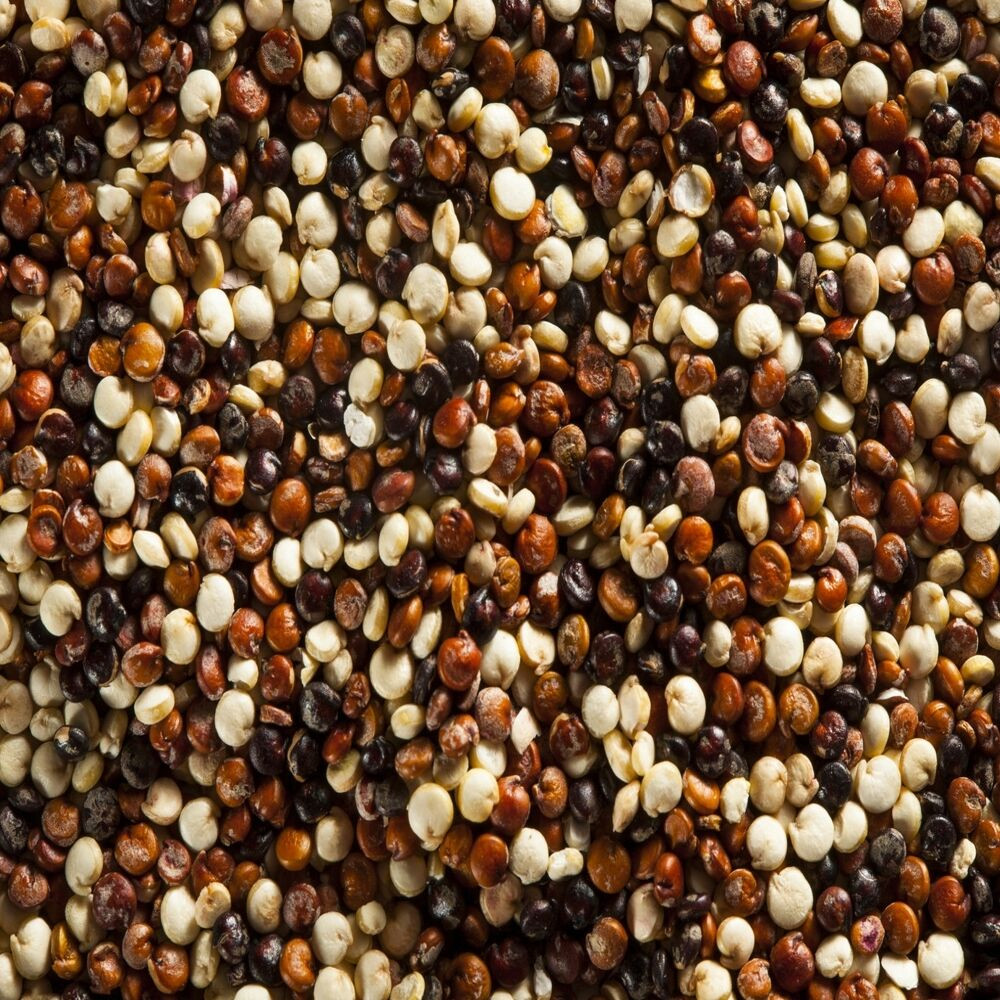 Quinoa A Grain
 Tri Color Quinoa Seed 2Lb Bulk South American Grain