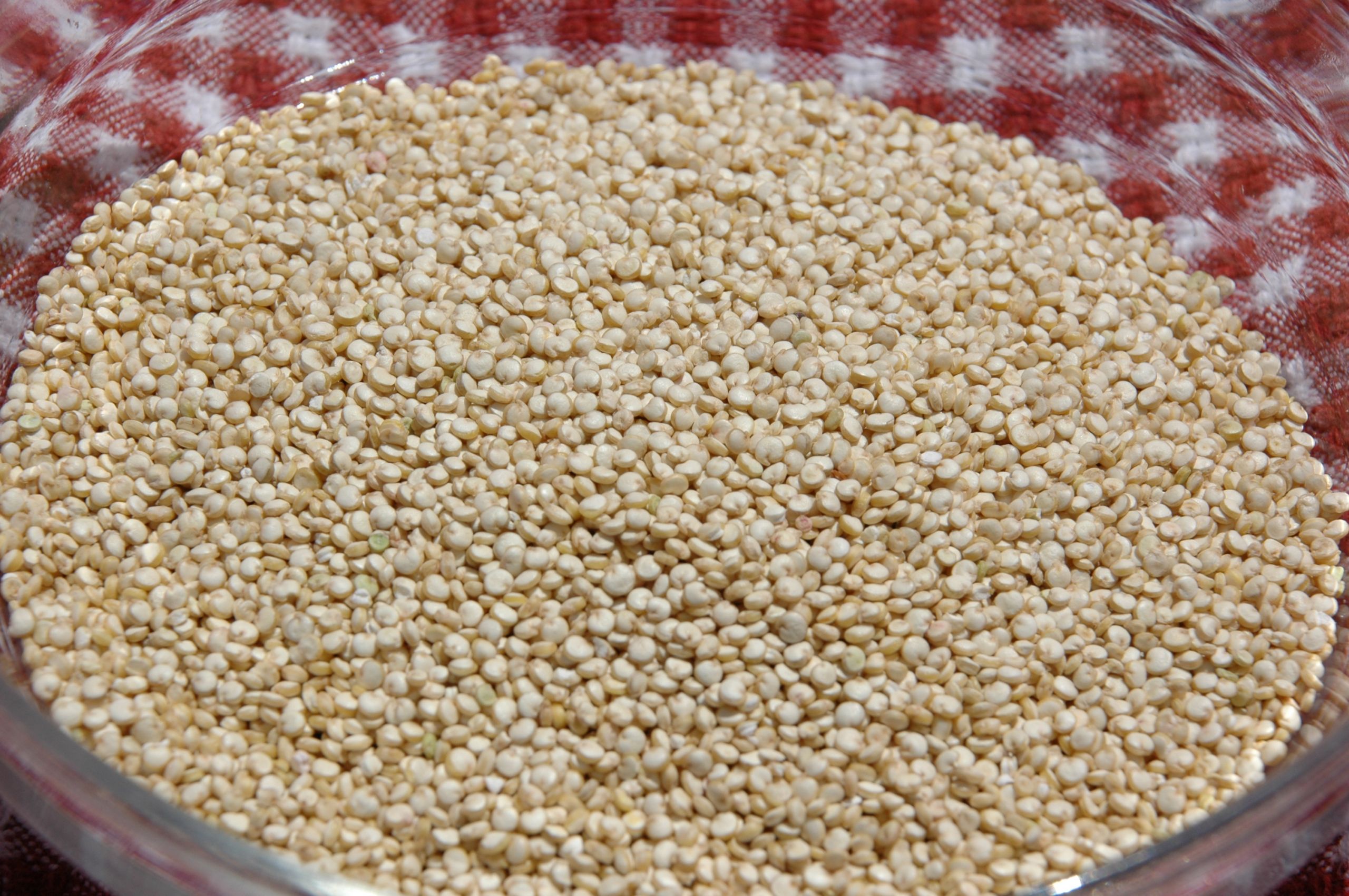 Quinoa A Grain
 Quinoa the ultimate super food The Turquoise Table