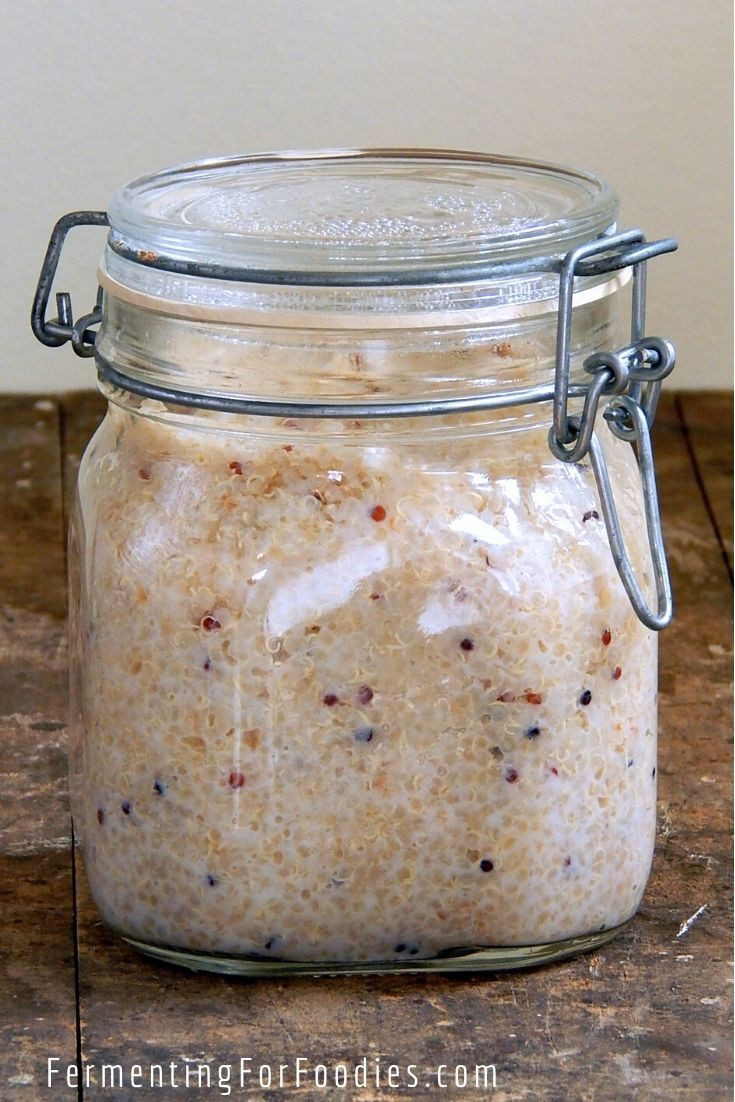 Quinoa High In Fiber
 Fermented Quinoa High in fiber protein and probiotics