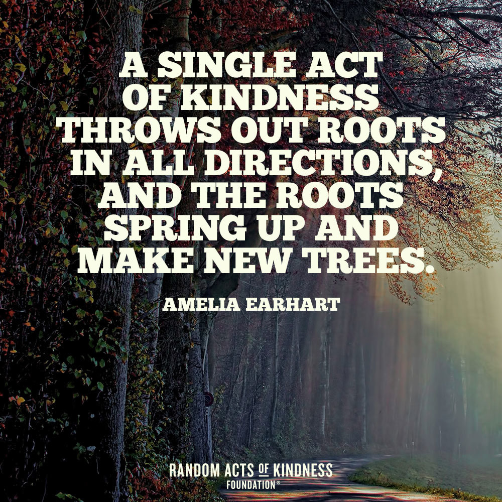 Quote About Random Acts Of Kindness
 Random Acts of Kindness Kindness Quote