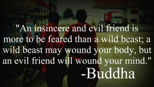Quote On Bad Friendship
 An Insincere and Evil Friend… – Buddha – A Pondering Mind