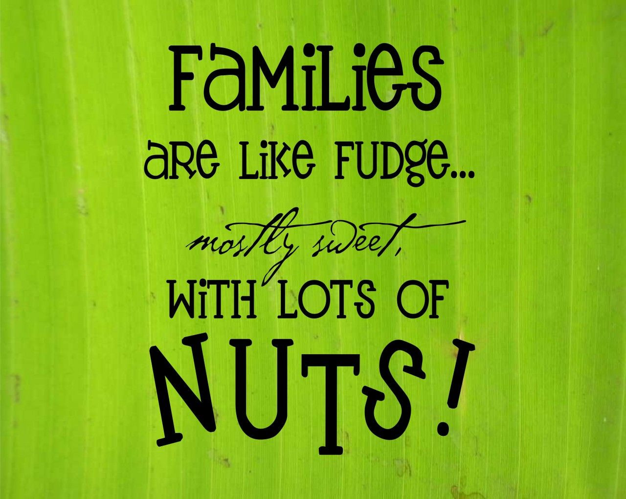 Quotes About Crazy Family
 My Crazy Family Quotes QuotesGram