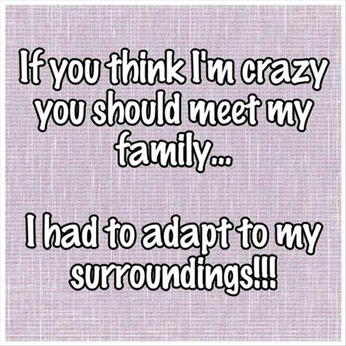 Quotes About Crazy Family
 Crazy Family Quotes QuotesGram