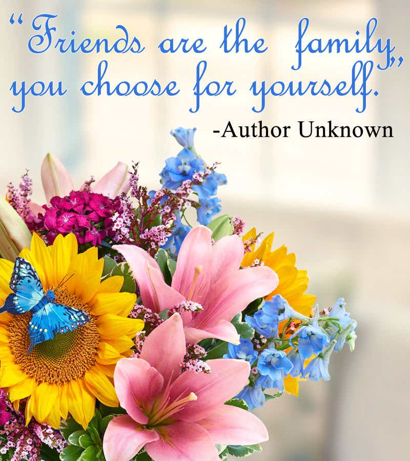 Quotes About Friendship And Family
 Inspirational Friendship Quotes