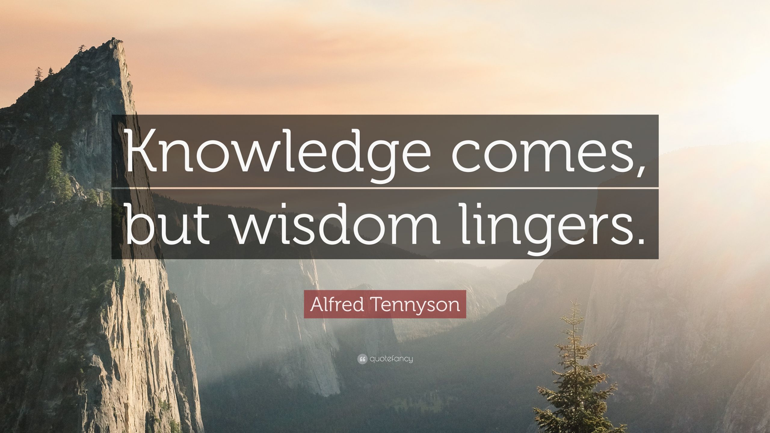 Quotes About Knowledge And Education
 Teacher Quotes 40 wallpapers Quotefancy