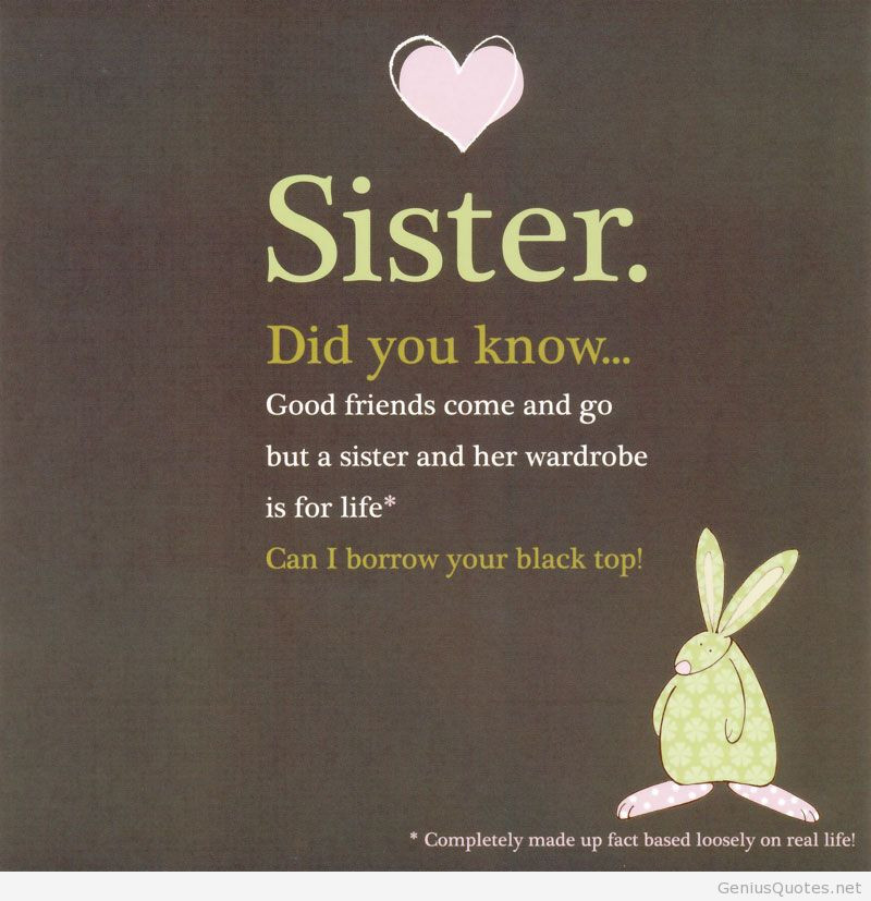 Quotes About Sisters Birthdays
 FUNNY SISTER QUOTES PICTURES image quotes at relatably