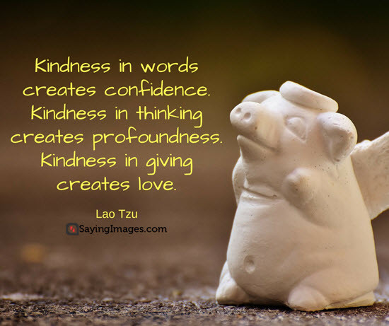 Quotes On Kindness And Generosity
 30 Inspiring Kindness Quotes to Live By