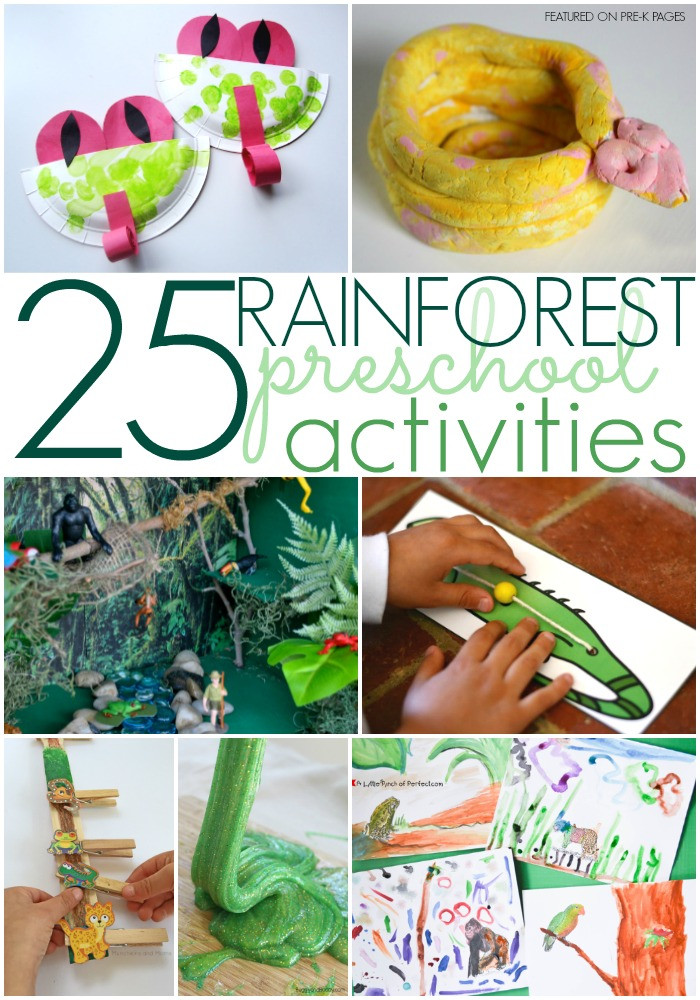 Rainforest Craft For Kids
 Rainforest Activities for Preschoolers Pre K Pages