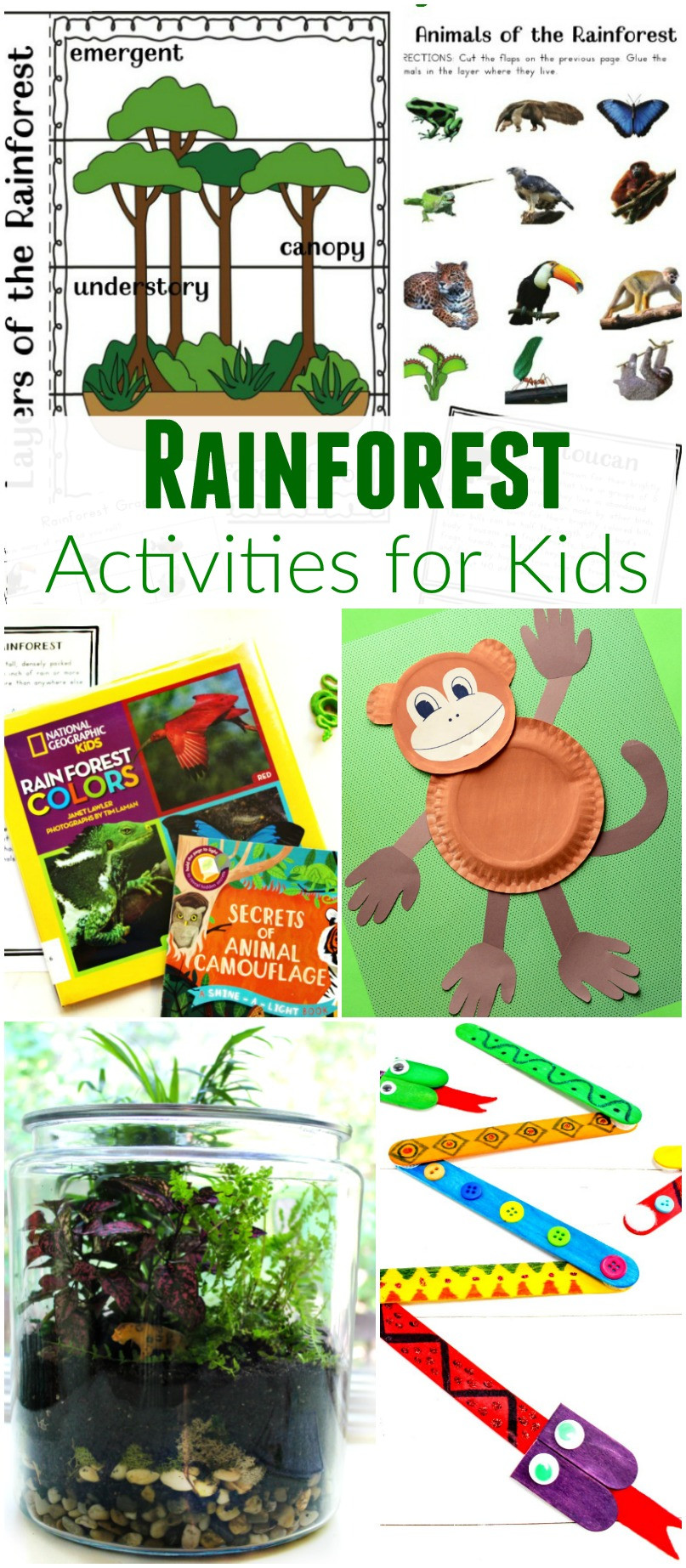 Rainforest Craft For Kids
 The Ultimate Rainforest Activities Kids Theme Natural