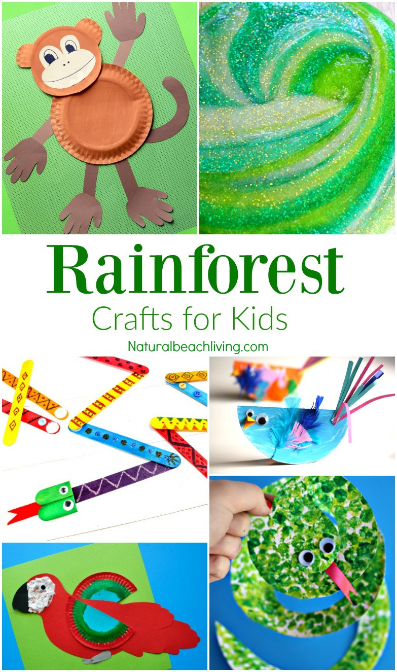 Rainforest Craft For Kids
 The Best Rainforest Activities for Kids Theme Natural