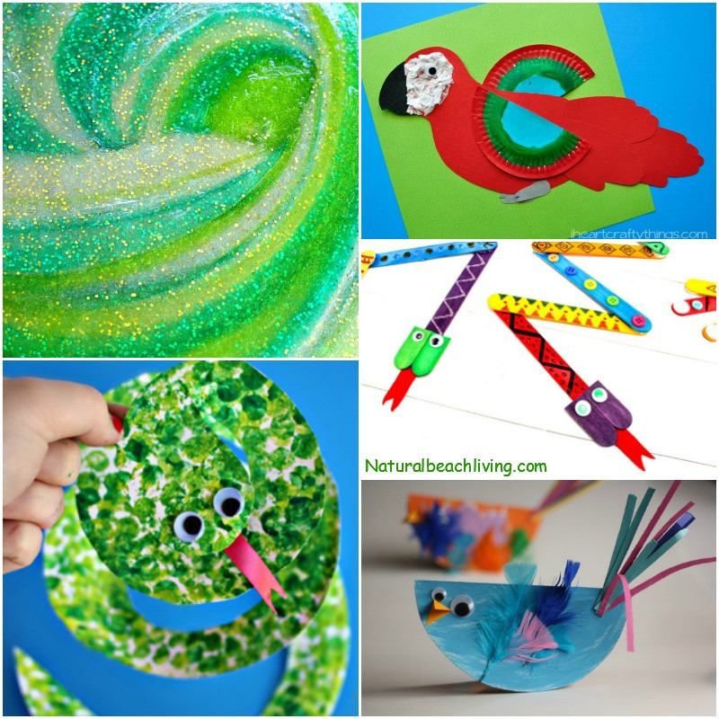 Rainforest Craft For Kids
 10 Amazing Rainforest Crafts Kids Can Make Natural