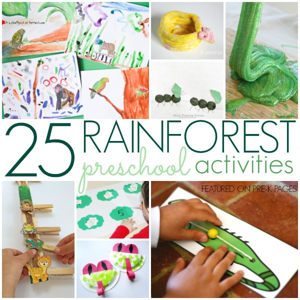 Rainforest Craft For Kids
 Rainforest Activities for Preschoolers Pre K Pages