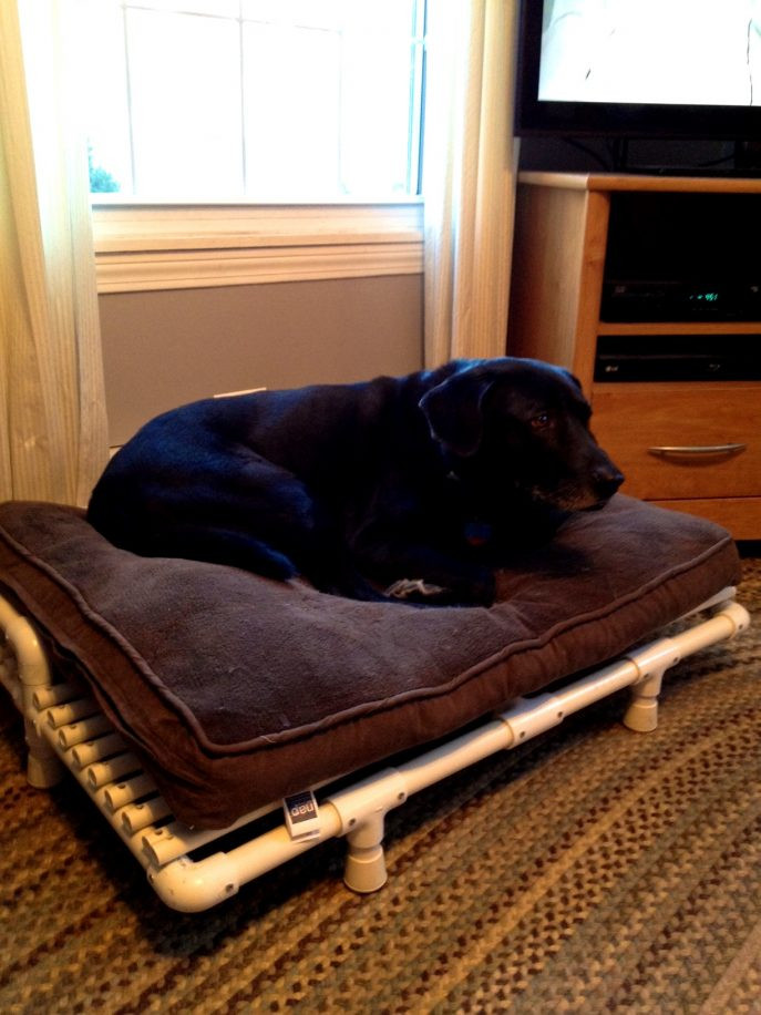 Raised Dog Beds DIY
 22 Best Ideas Diy Elevated Dog Beds Best DIY Ideas and