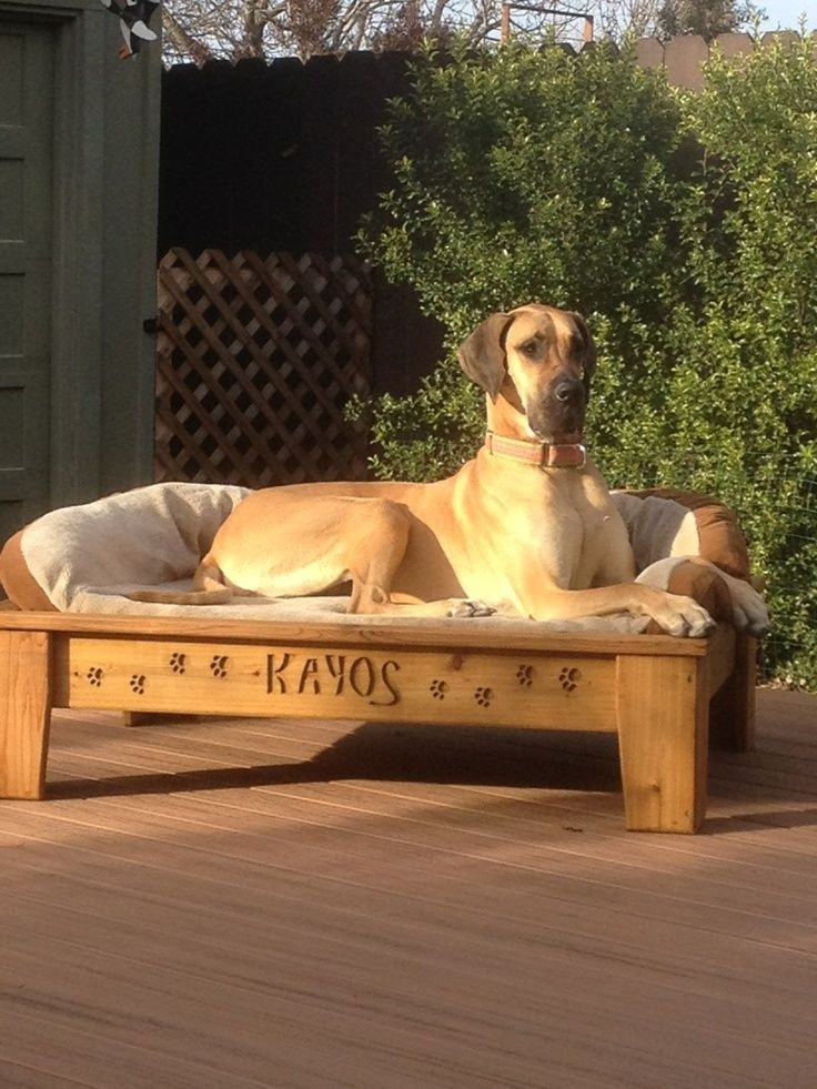 Raised Dog Beds DIY
 raised dog bed diy Google Search