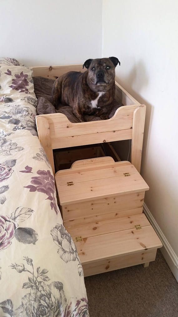 Raised Dog Beds DIY
 The 25 best Raised dog beds ideas on Pinterest