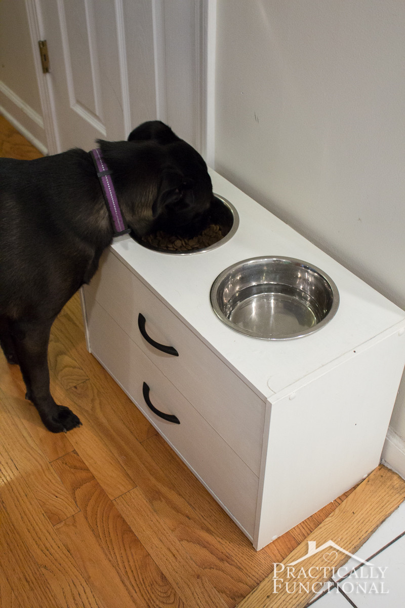 Raised Dog Bowls DIY
 DIY Raised Dog Bowl Stand